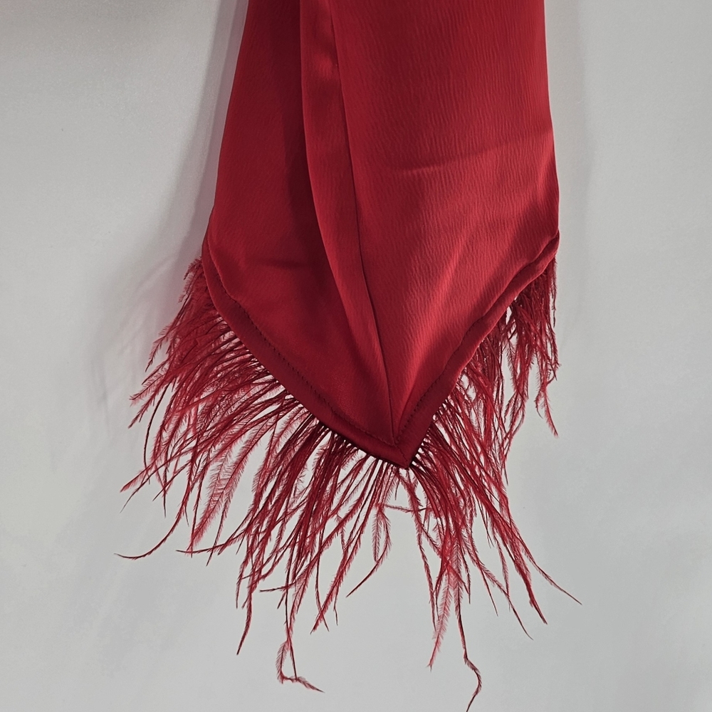 WAYF Red Long Sleeved Feather-Trim Cropped Satin V-Neck Top Womens Size Small - Picture 7 of 11